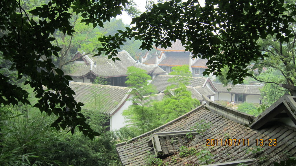 IMG_1771.JPG IMG_1771.JPG