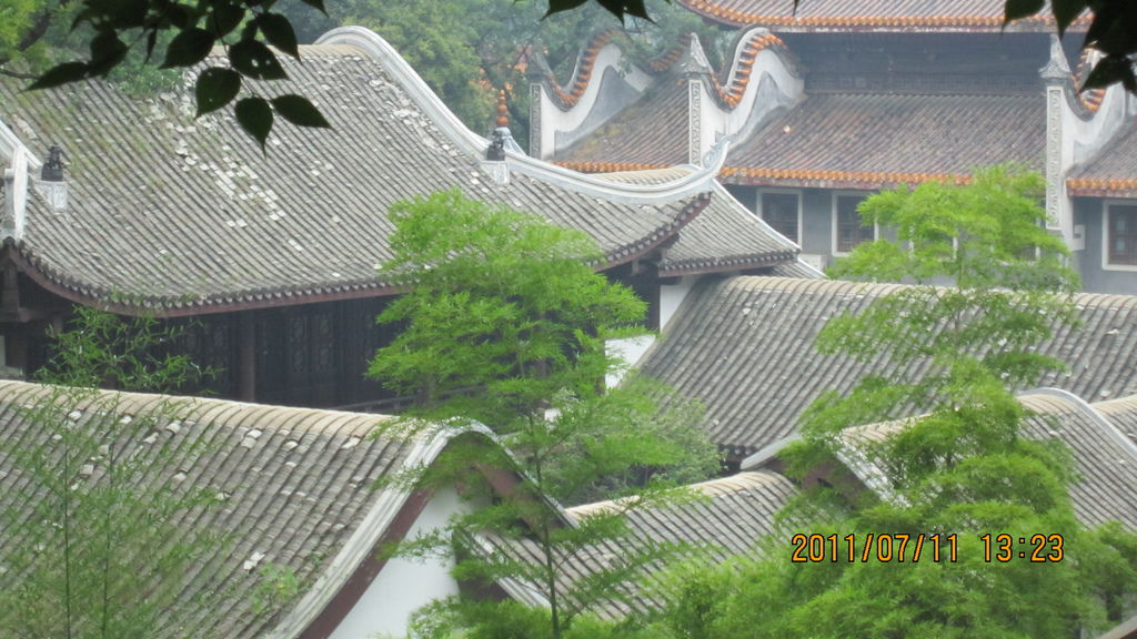 IMG_1772.JPG IMG_1772.JPG