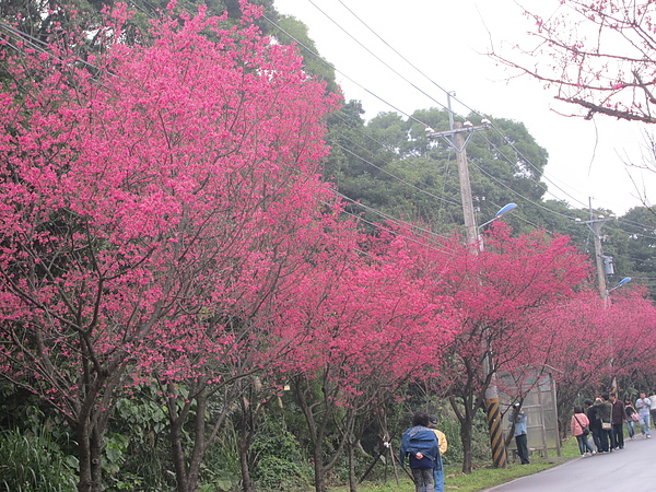 2011-2-13 039.jpg 2011-2-13 039.jpg