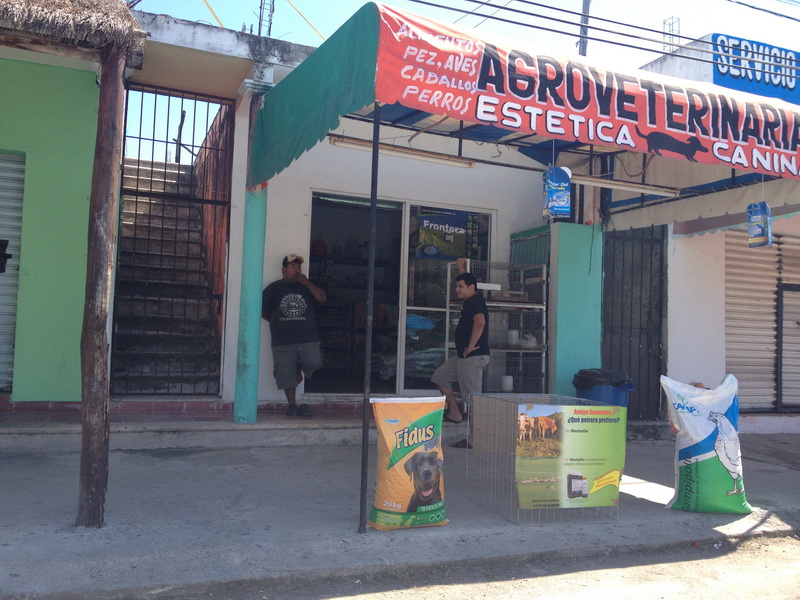 0905 (02) UP裡的小男孩長大了