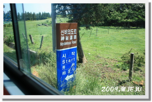 神秘坡道 (1).JPG