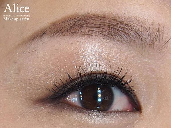 P4101879.jpg P4101879.jpg