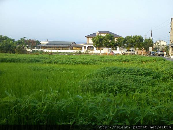 羅東北成庄07 羅東北成庄07