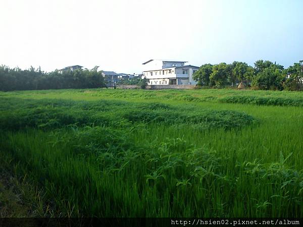 羅東北成庄09 羅東北成庄09