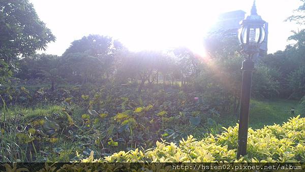 羅東北成庄10 羅東北成庄10