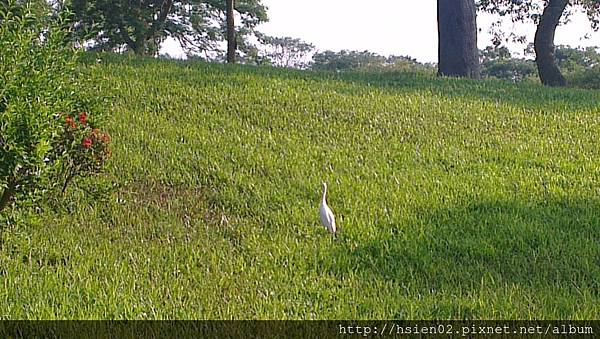 羅東運動公園22 羅東運動公園22