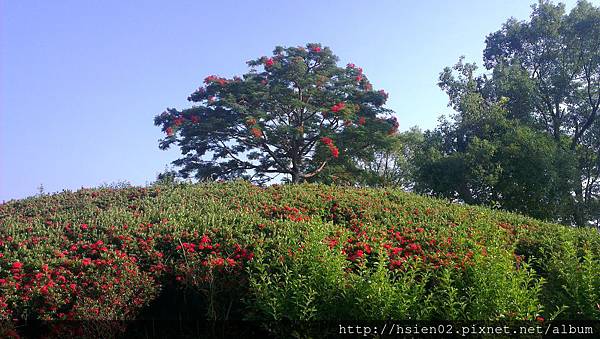 羅東運動公園23