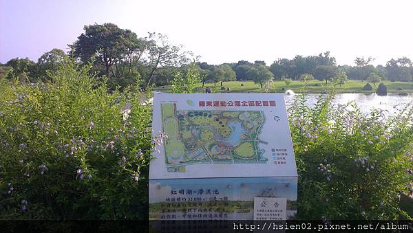 羅東運動公園17 羅東運動公園17