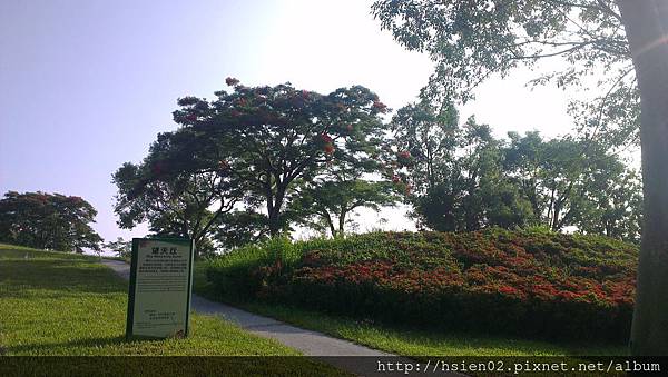 羅東運動公園25 羅東運動公園25