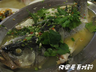 照片 019.jpg 照片 019.jpg