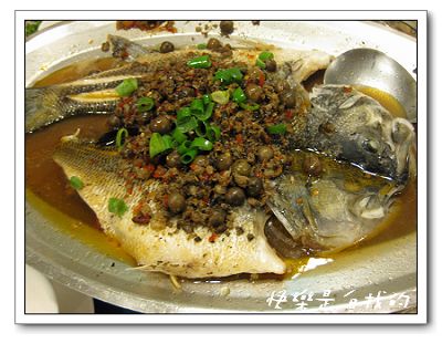 照片 019.jpg 照片 019.jpg