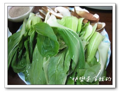 照片 041.jpg 照片 041.jpg