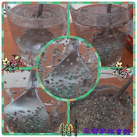 PhotoGrid_1418039695617.jpg 試用