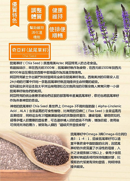 未命名 試用