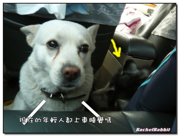 P1080963.JPG P1080963.JPG