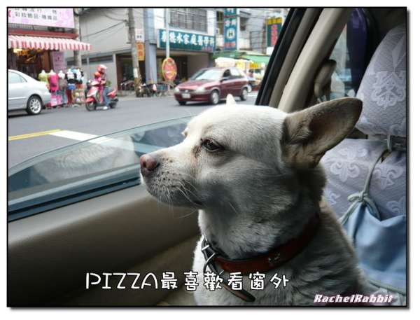 P1080992.JPG P1080992.JPG