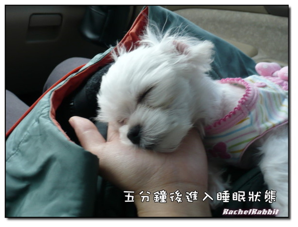 P1090006.JPG P1090006.JPG