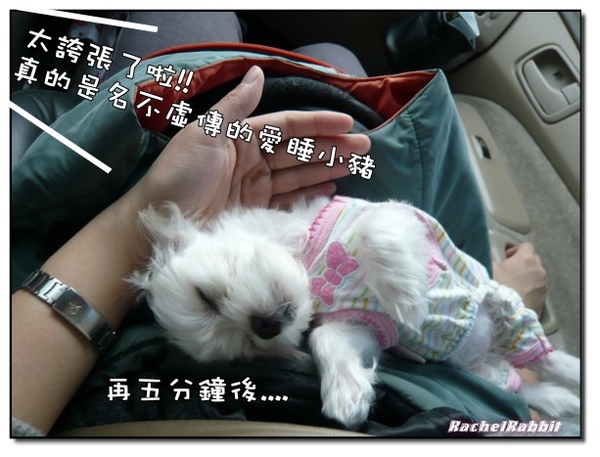 P1090020.JPG P1090020.JPG