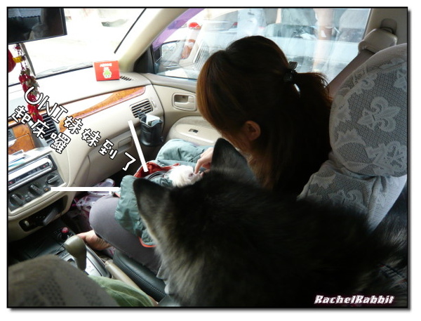 P1090035.JPG P1090035.JPG