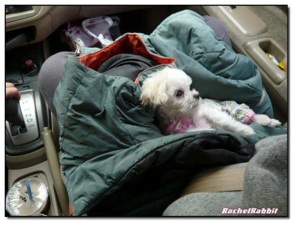 P1090045.JPG P1090045.JPG