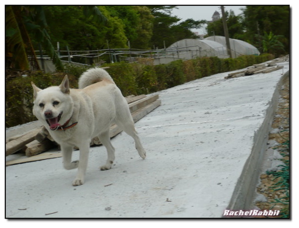 P1090090.JPG P1090090.JPG