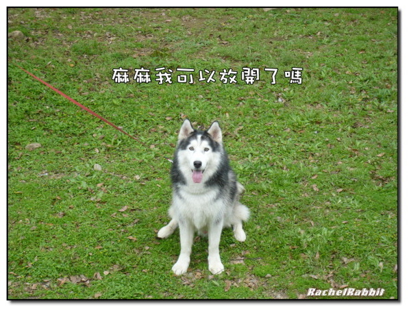 P1090092.JPG P1090092.JPG