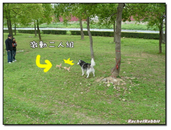 P1090099.JPG P1090099.JPG