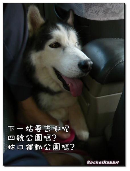 P1090134.JPG P1090134.JPG