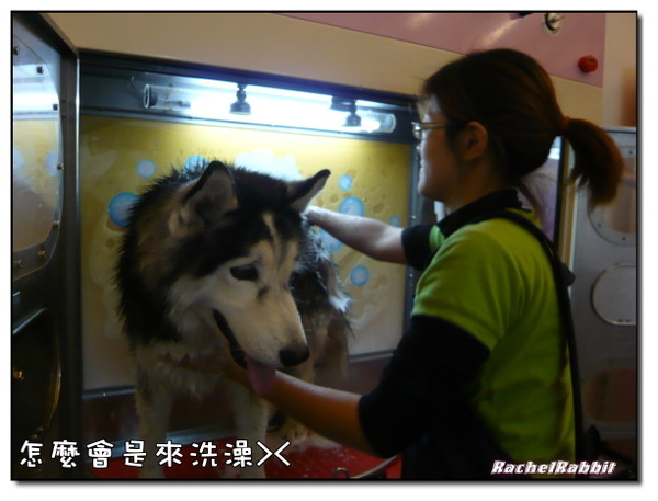 P1090147.JPG P1090147.JPG