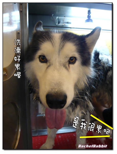 P1090157.JPG P1090157.JPG