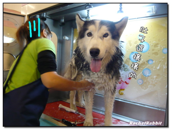 P1090160.JPG P1090160.JPG