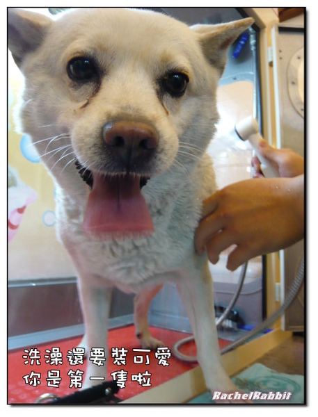 P1090168.JPG P1090168.JPG