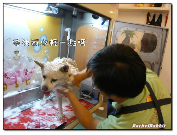 P1090171.JPG P1090171.JPG