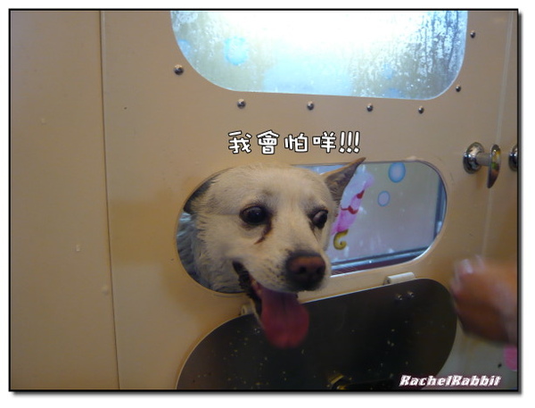 P1090196.JPG P1090196.JPG