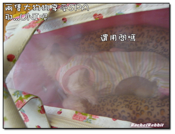 P1090227.JPG P1090227.JPG