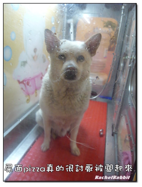 P1090291.JPG P1090291.JPG