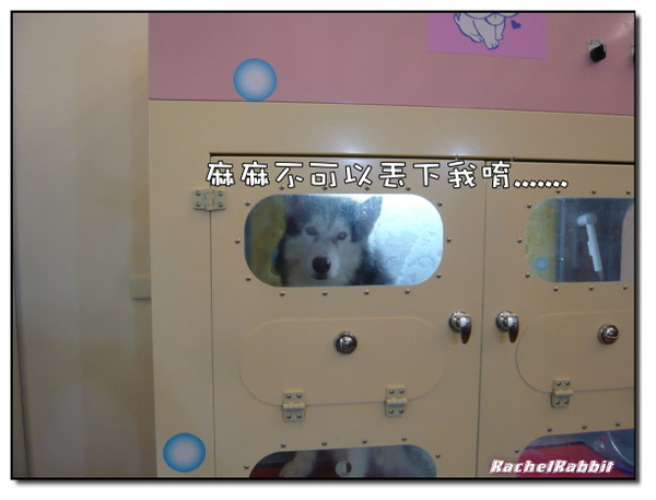 P1090298.JPG P1090298.JPG