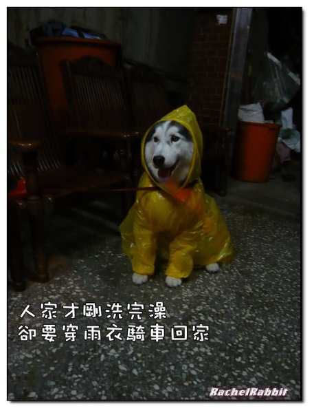 P1090396.JPG P1090396.JPG