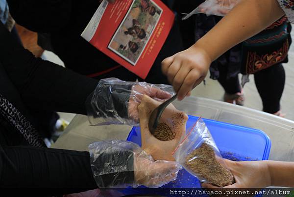 IMG_7230.JPG IMG_7230.JPG