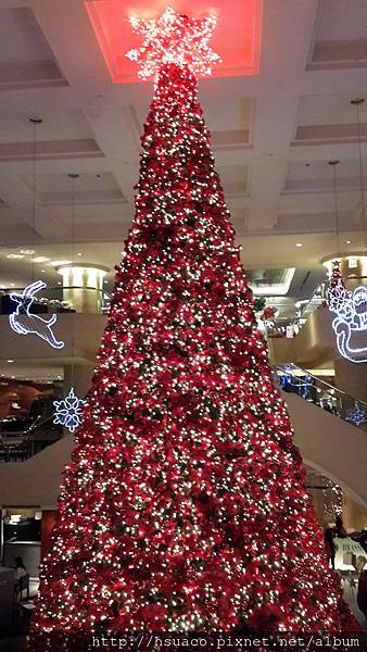 20141213_165552.jpg 20141213_165552.jpg
