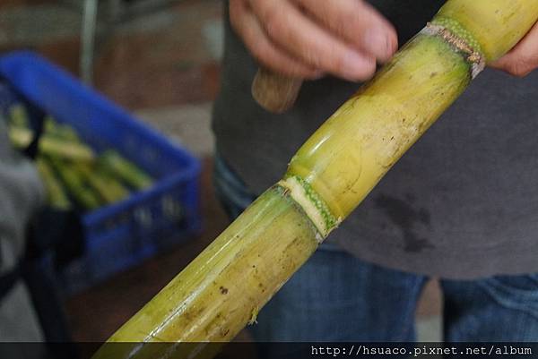 SAM_0019.JPG SAM_0019.JPG