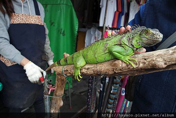 SAM_0024.JPG SAM_0024.JPG