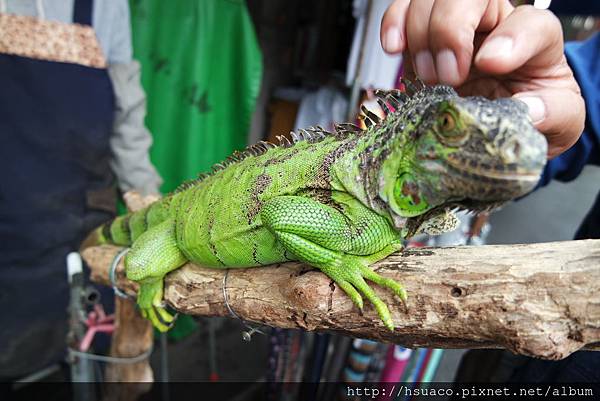 SAM_0025.JPG SAM_0025.JPG