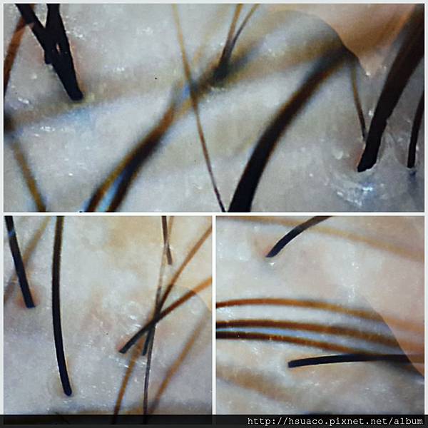 CYMERA_20150511_183114.jpg CYMERA_20150511_183114.jpg