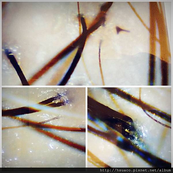 CYMERA_20150511_180911.jpg CYMERA_20150511_180911.jpg