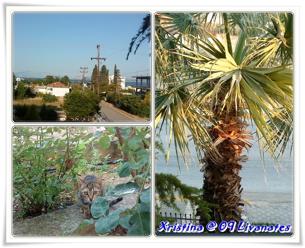 Livanates 1.jpg Livanates 1.jpg