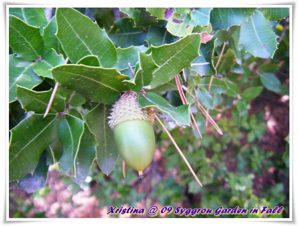 DSCF9542-003.JPG DSCF9542-003.JPG