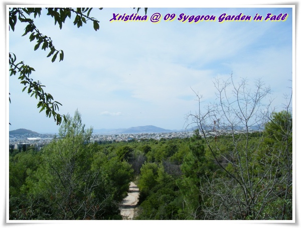 DSCF9543-004.JPG DSCF9543-004.JPG