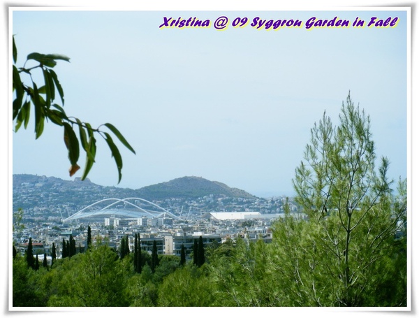 DSCF9545-005.JPG DSCF9545-005.JPG