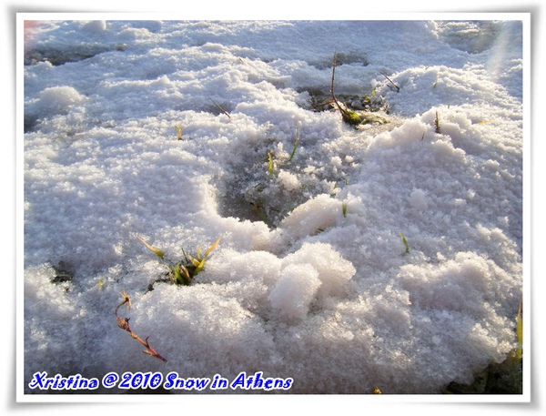 DSCF5242.JPG DSCF5242.JPG